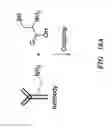 Fig. 35 - LIGAND-TARGETED MOLECULES AND METHODS THEREOF