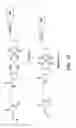 Fig. 40 - LIGAND-TARGETED MOLECULES AND METHODS THEREOF