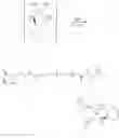 Fig. 76 - LIGAND-TARGETED MOLECULES AND METHODS THEREOF