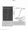 Fig. 06 - Methods for therapeutic targeting of circulating tumor cells during hemodialysis