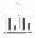 Fig. 12 - Methods for therapeutic targeting of circulating tumor cells during hemodialysis