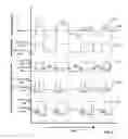 Fig. 07 - Method and system for modulating neural activity