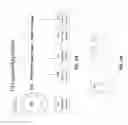 Fig. 02 - Cannula for minimizing dilution of dosing during nitric oxide delivery