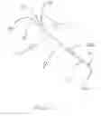 Fig. 02 - Dual lumen microcatheter