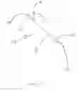 Fig. 04 - Dual lumen microcatheter