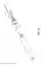 Fig. 08 - Catheter-based system for delivery and retrieval of a leadless pacemaker