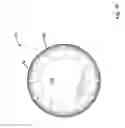 Fig. 12 - ROLL-ON DISPENSER FOR MEDICAMETS