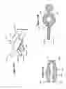 Fig. 14 - Electronic neuromodulatory emulation of extra- and intra-aortic balloon pump counter-pulsation systems and methods