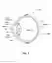 Fig. 02 - Method for nonpharmacologic temporary constriction of a pupil