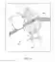 Fig. 08 - Ascender device and method of use