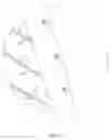 Fig. 04 - Tennis racket with a more-responsive string configuration