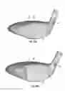Fig. 14 - Golf club head with hosel support structure