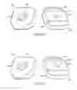 Fig. 60 - Golf club head
