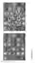 Fig. 19 - METHOD FOR IMPLEMENTING A COMPUTER GAME