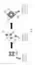 Fig. 07 - Affinity cell extraction by acoustics