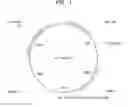 Fig. 02 - RECOMBINANT MICROORGANISM INCLUDING GENETIC MODIFICATION THAT INCREASES 2-HALOACID DEHALOGENASE ACTIVITY AND METHOD OF REDUCING CONCENTRATION OF FLUORINATED METHANE IN SAMPLE BY USING THE SAME
