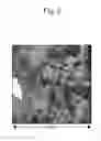 Fig. 03 - Exhaust gas purification catalyst