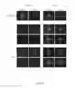 Fig. 08 - COMBINATION OF PHARMACOLOGICAL AND MICROFLUIDIC FEATURES FOR IMPROVED PLATELETS PRODUCTION