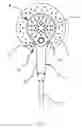 Fig. 02 - Combined shower