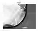 Fig. 08 - MIXED POWDER FOR IRON-BASED POWDER METALLURGY, METHOD FOR PRODUCING SAME, AND SINTERED BODY PRODUCED USING SAME
