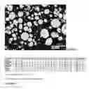 Fig. 07 - TREATMENT OF MELT FOR ATOMIZATION TECHNOLOGY