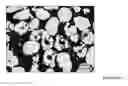Fig. 12 - TREATMENT OF MELT FOR ATOMIZATION TECHNOLOGY