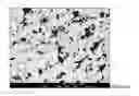 Fig. 16 - TREATMENT OF MELT FOR ATOMIZATION TECHNOLOGY