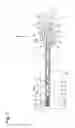 Fig. 02 - Method and apparatus for producing a rod-like body