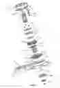 Fig. 04 - CHAIN SAW