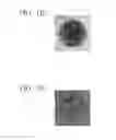 Fig. 03 - CROSSLINKED POLYMER STRUCTURE AND USE FOR SAME