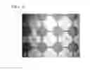 Fig. 08 - CROSSLINKED POLYMER STRUCTURE AND USE FOR SAME