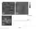Fig. 10 - Nanoporous stamp printing of nanoparticulate inks