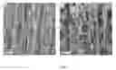 Fig. 12 - Nanoporous stamp printing of nanoparticulate inks