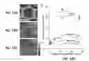 Fig. 31 - Nanoporous stamp printing of nanoparticulate inks