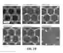 Fig. 34 - Nanoporous stamp printing of nanoparticulate inks