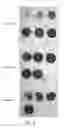 Fig. 10 - PRESSURE IMAGING AND INDICATING MATERIALS AND DEVICES