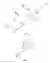 Fig. 02 - Dog-bone type rear roll rod