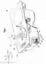 Fig. 02 - Container holder including a swing member rotatably supporting a roller to hold a container received therein