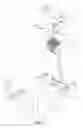 Fig. 04 - Parking brake