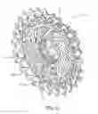 Fig. 09 - Multi-sprocket arrangement for a bicycle
