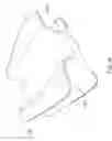 Fig. 45 - Swimming propulsion device