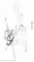 Fig. 83 - Swimming propulsion device