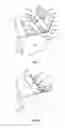 Fig. 07 - Replacement panel assembly for sealing carton assembly and methods of assembly and use