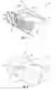 Fig. 02 - Glove dispensing assembly