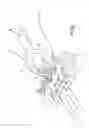 Fig. 02 - Device for braking lines of tying twine