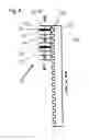 Fig. 04 - Elevator with linear motor