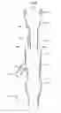 Fig. 06 - Fuel supply apparatus