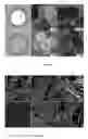 Fig. 02 - Composition, particulate materials and methods for making particulate materials