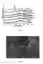 Fig. 04 - Composition, particulate materials and methods for making particulate materials