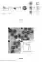 Fig. 06 - Composition, particulate materials and methods for making particulate materials